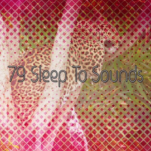 Couverture de 79 Sleep To Sounds