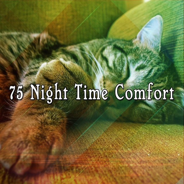 75 Night Time Comfort