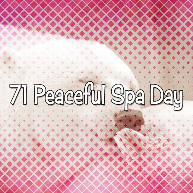 Couverture de 71 Peaceful Spa Day