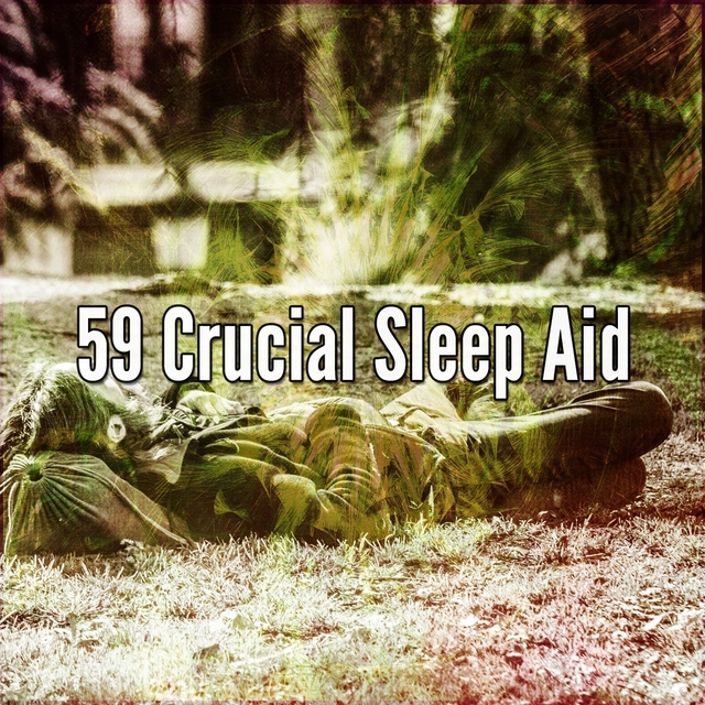 59 Crucial Sleep Aid