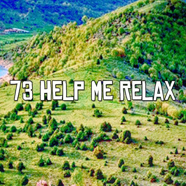 Couverture de 73 Help Me Relax