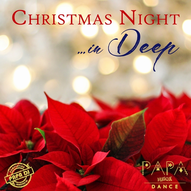 Couverture de Christmas Night in Deep