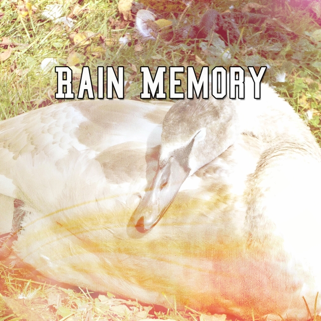 Rain Memory