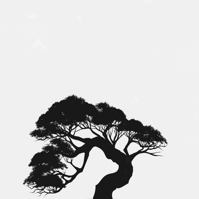 Couverture de Bonsai