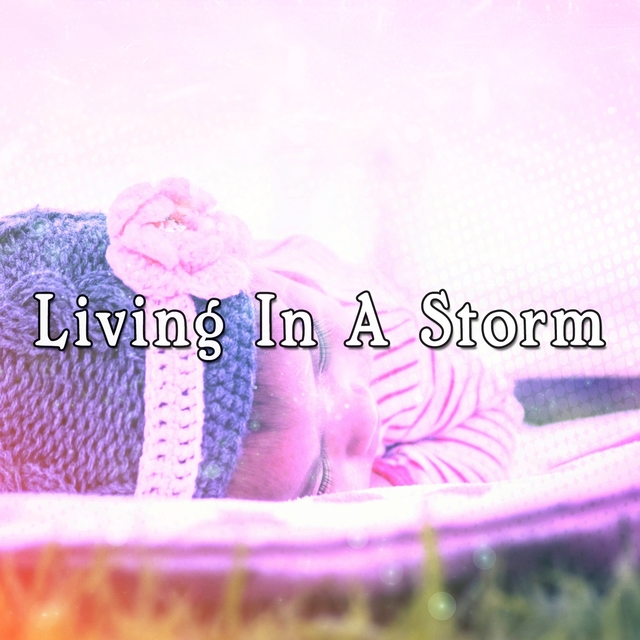 Couverture de Living In A Storm