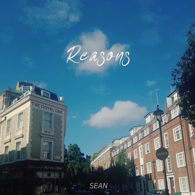 Couverture de Reasons