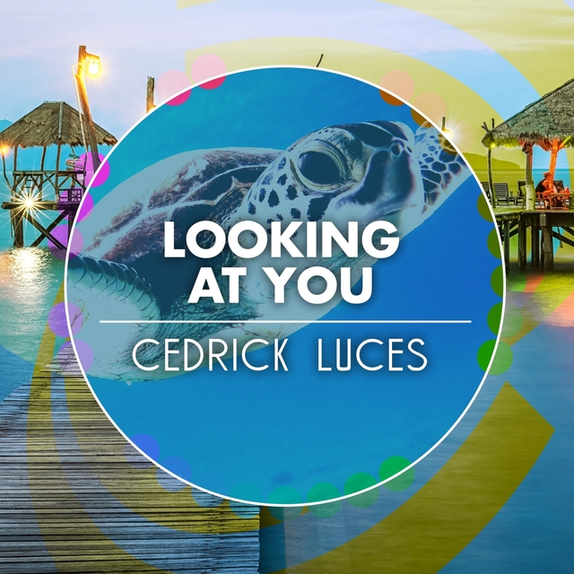 Couverture de Looking at You