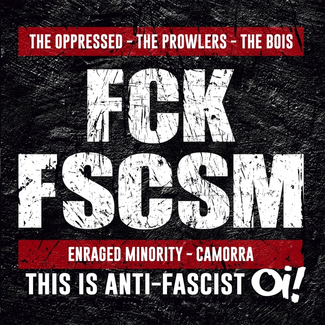 Couverture de THIS IS ANTIFASCIST OI!