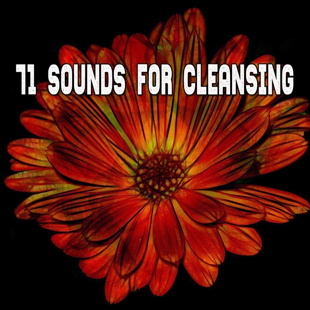 71 Sounds For Cleansing