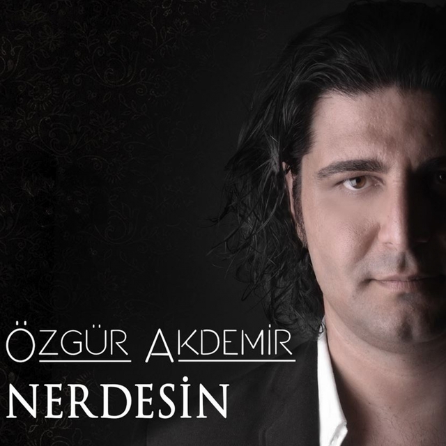 Couverture de Nerdesin