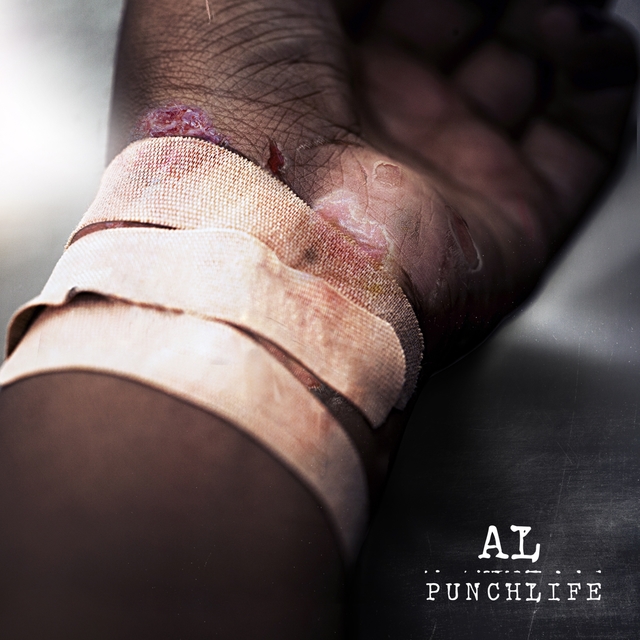 Couverture de PunchLife