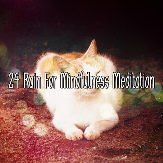 Couverture de 24 Rain For Mindfulness Meditation