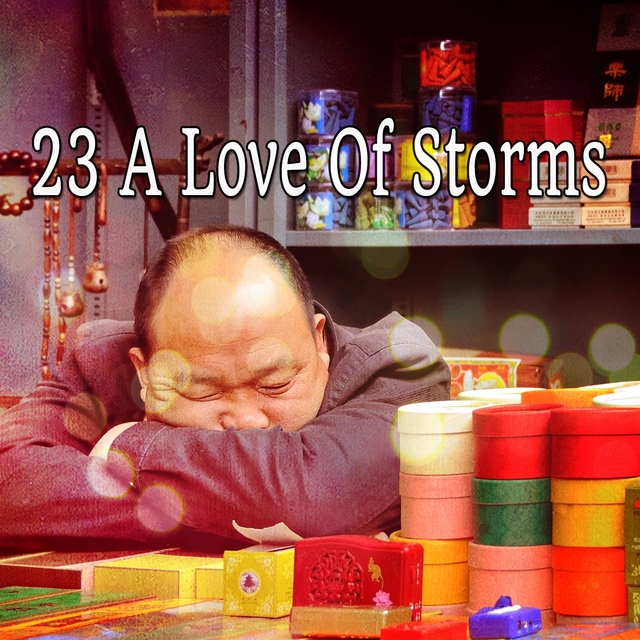 Couverture de 23 A Love Of Storms