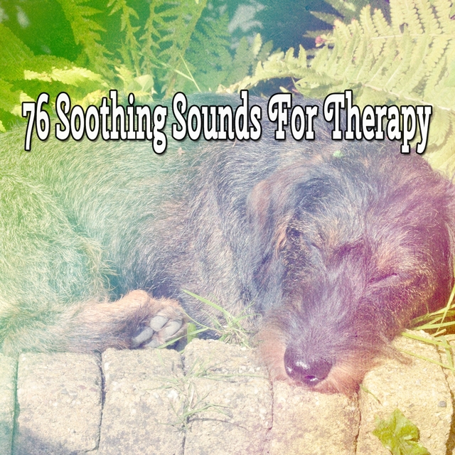 76 Soothing Sounds For Therapy