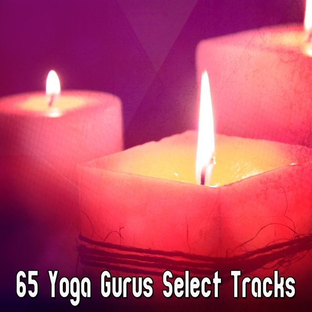 Couverture de 65 Yoga Gurus Select Tracks