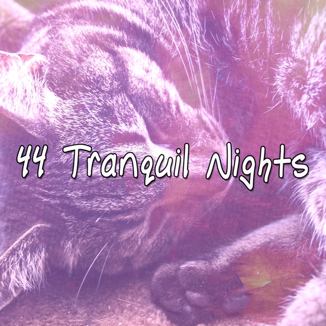 Couverture de 44 Tranquil Nights