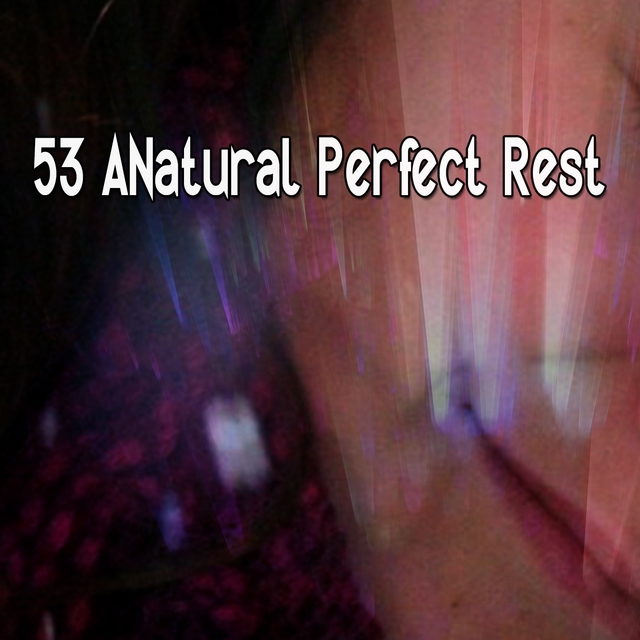 53 ANatural Perfect Rest