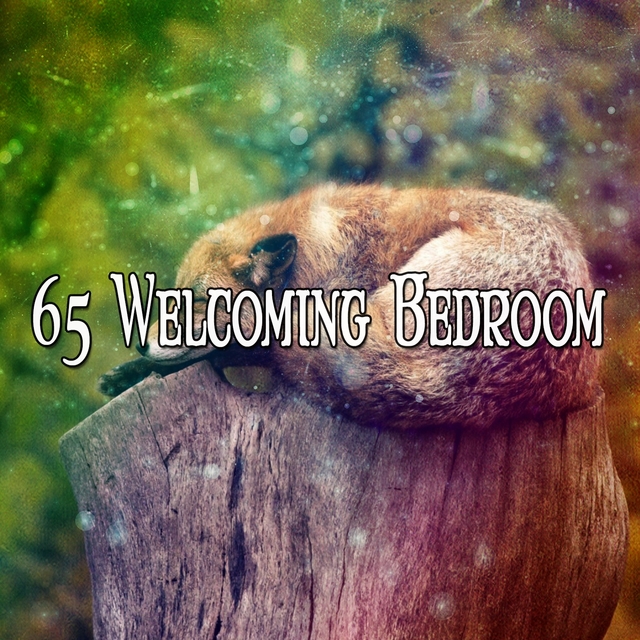Couverture de 65 Welcoming Bedroom