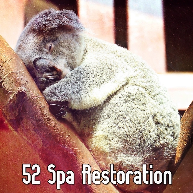 52 Spa Restoration