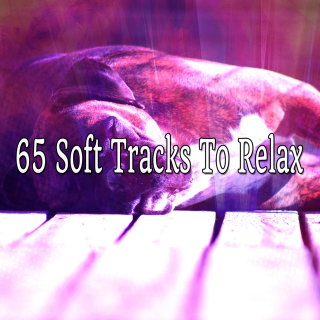 Couverture de 65 Soft Tracks To Relax