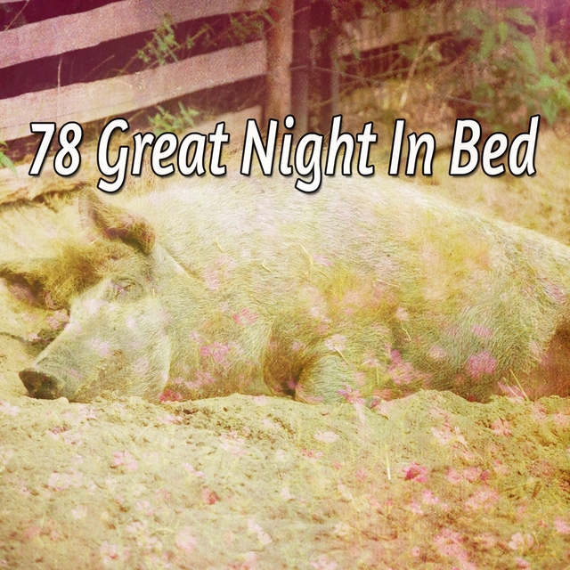 Couverture de 78 Great Night In Bed