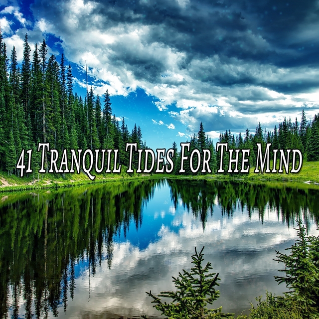 Couverture de 41 Tranquil Tides For The Mind