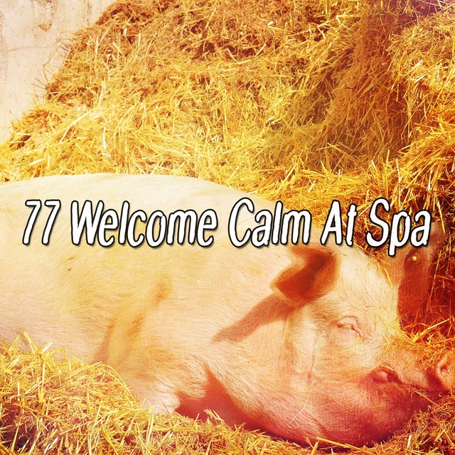 Couverture de 77 Welcome Calm At Spa