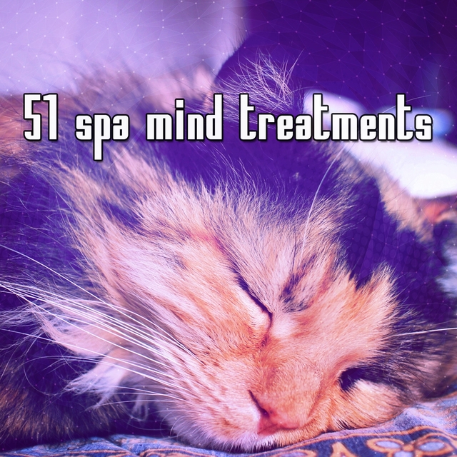 Couverture de 51 Spa Mind Treatments