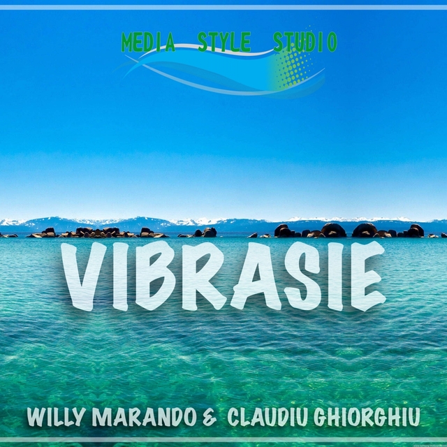 Vibrasie