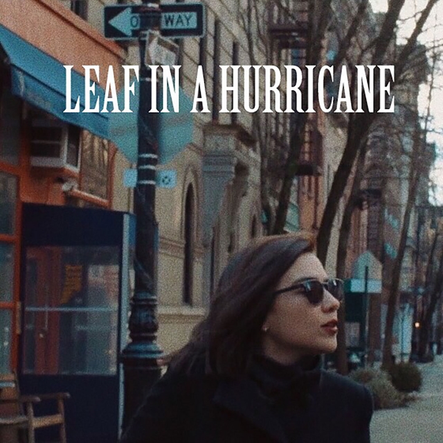 Couverture de Leaf in a Hurricane