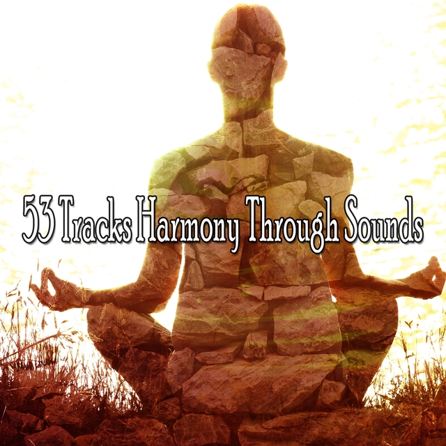 53 Tracks Harmony Through Sounds