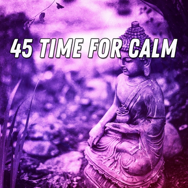 Couverture de 45 Time For Calm