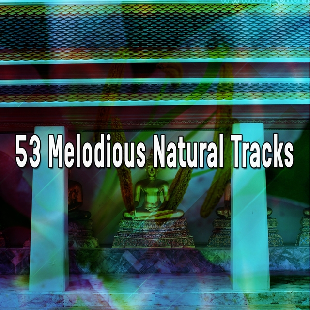 53 Melodious Natural Tracks