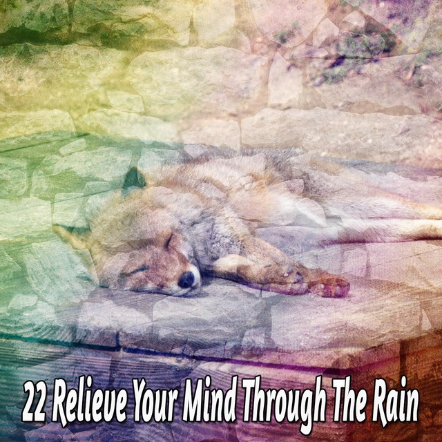 22 Relieve Your Mind Through The Rain