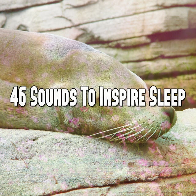 Couverture de 46 Sounds To Inspire Sleep