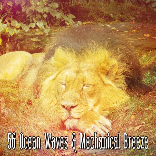 56 Ocean Waves & Mechanical Breeze