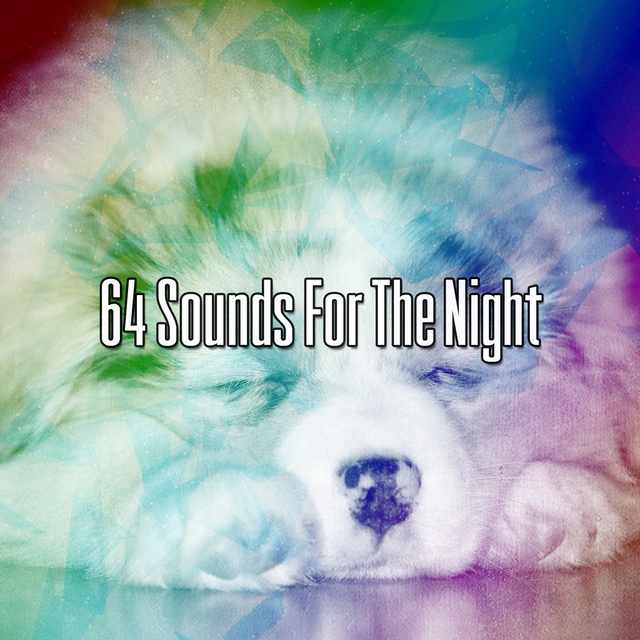 64 Sounds For The Night