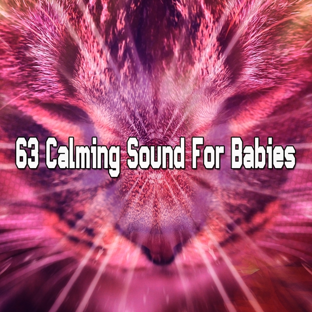 63 Calming Sound For Babies