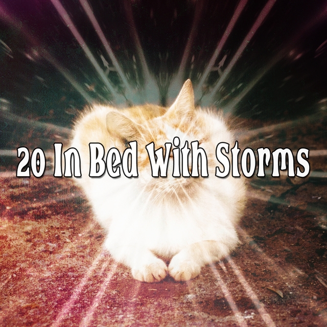 20 In Bed With Storms