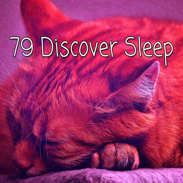 79 Discover Sleep