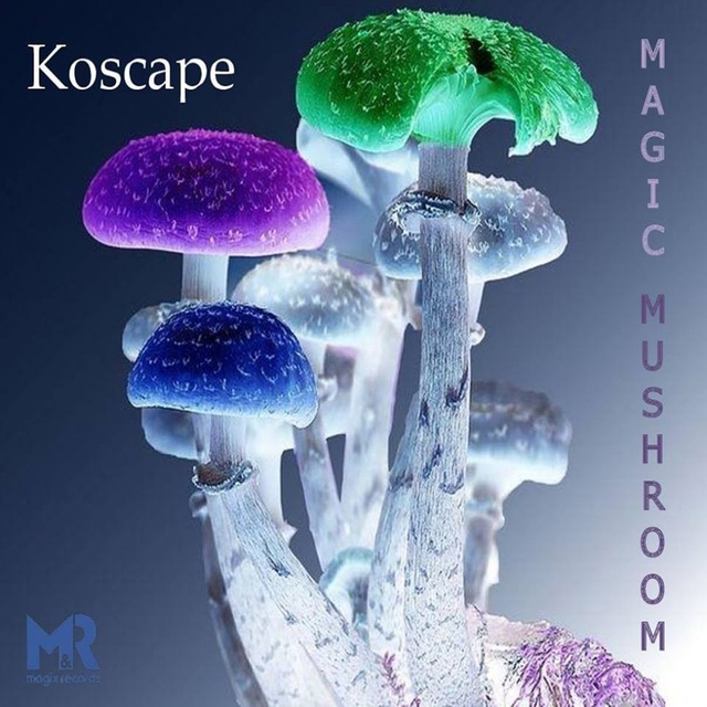 Couverture de Magic Mushroom