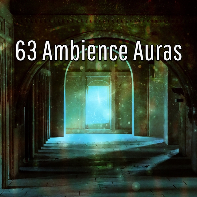 Couverture de 63 Ambience Auras