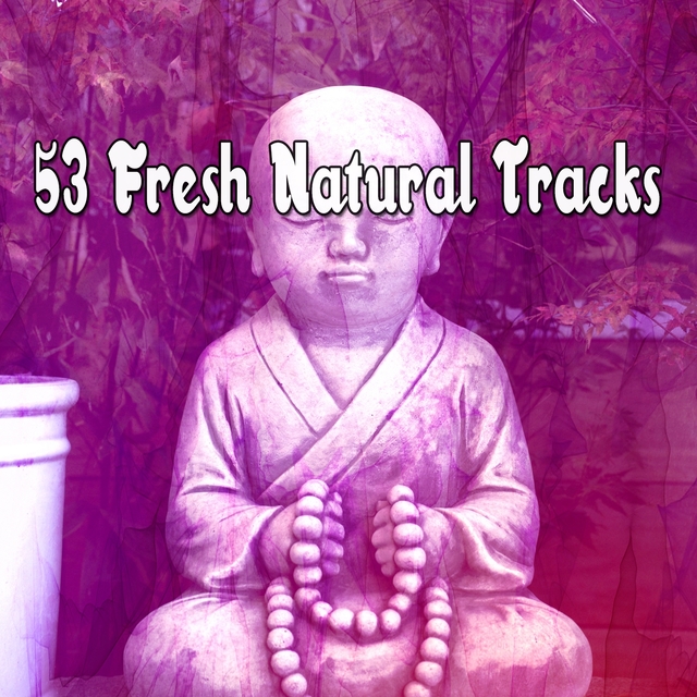 Couverture de 53 Fresh Natural Tracks