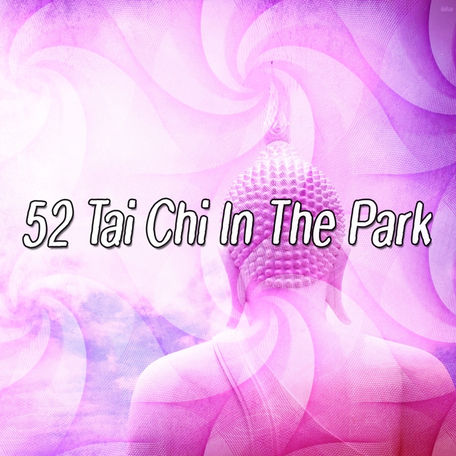 Couverture de 52 Tai Chi In The Park