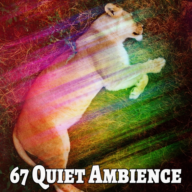 Couverture de 67 Quiet Ambience