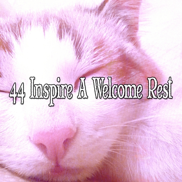 Couverture de 44 Inspire A Welcome Rest