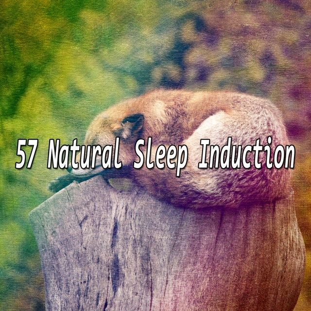 Couverture de 57 Natural Sleep Induction