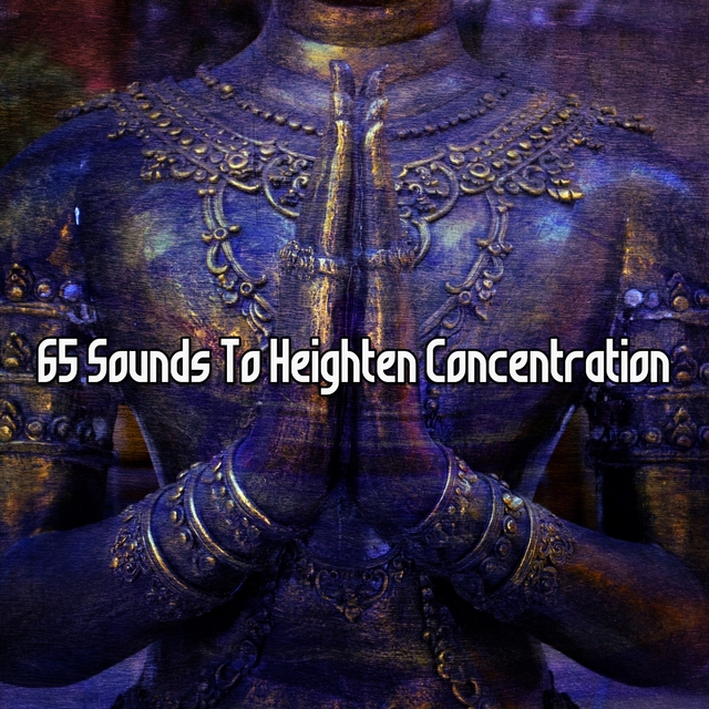 Couverture de 65 Sounds To Heighten Concentration