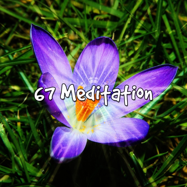 Couverture de 67 Meditation