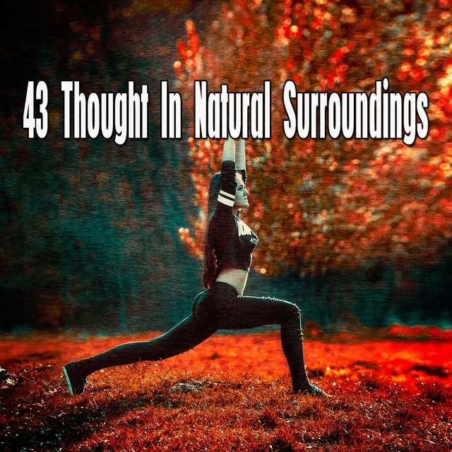 Couverture de 43 Thought In Natural Surroundings